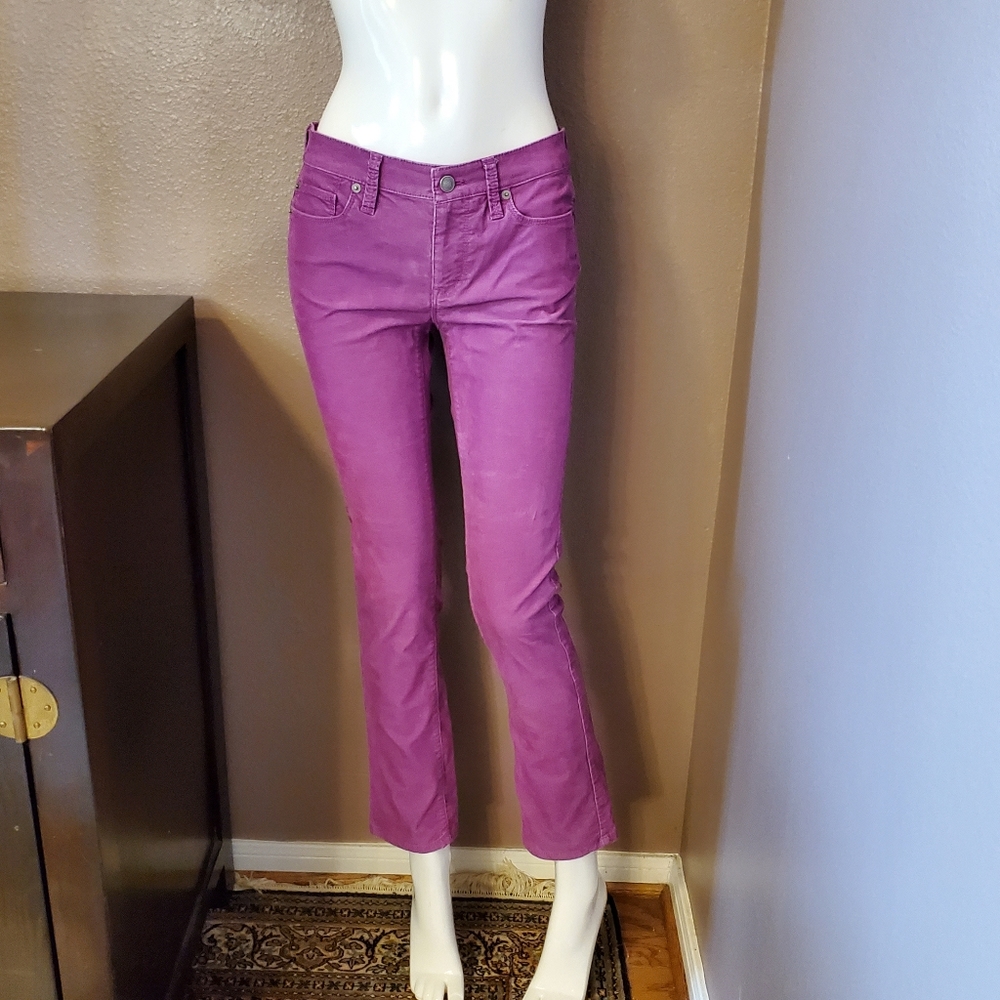 LOFT Modern Straight purple pinwale cord jeans 2P